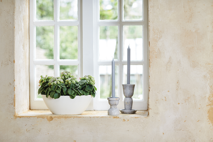 brussels ovale 36cm blanc